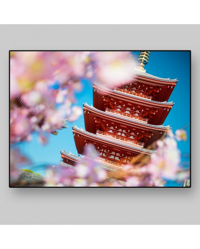 Templo Sensoji-ji, Tokyo, Japón Templo Sensoji-ji, Tokyo, Japón