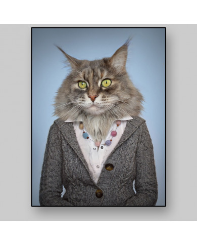 Gato disfrado Gato disfrado