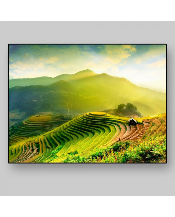 Campos de arroz en Mu Cang Chai, Vietnam