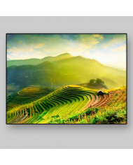Campos de arroz en Mu Cang Chai, Vietnam