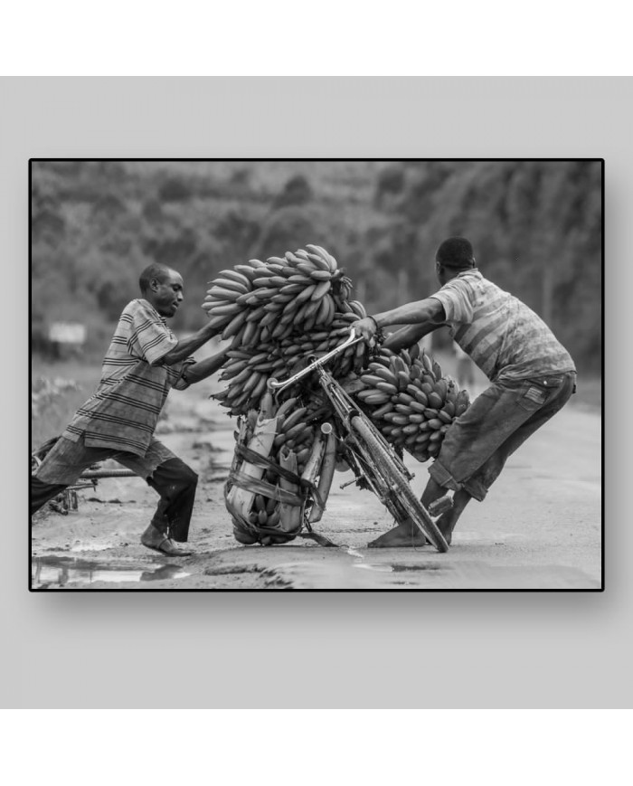 Llevando bananas, Kisoro. Uganda