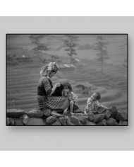 Trabajando en las terrazas de arroz, China