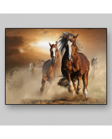 Caballos salvajes Caballos salvajes