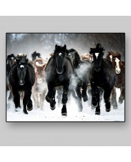 Caballos en invierno, Alaska