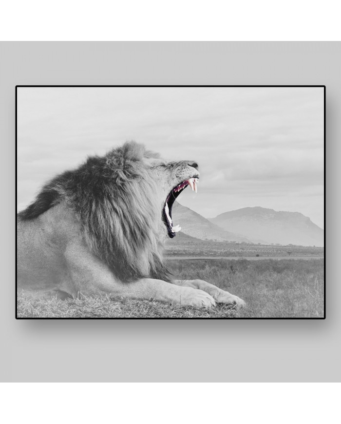 León, parque nacional Masai Mara, Kenia