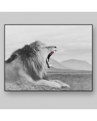 León, parque nacional Masai Mara, Kenia