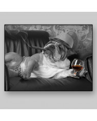 English Bulldog gangster