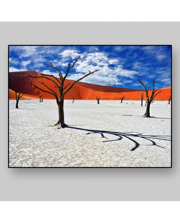 Dead Camelthorn Trees, Namib-Naukluft National Park, Namibia, Africa