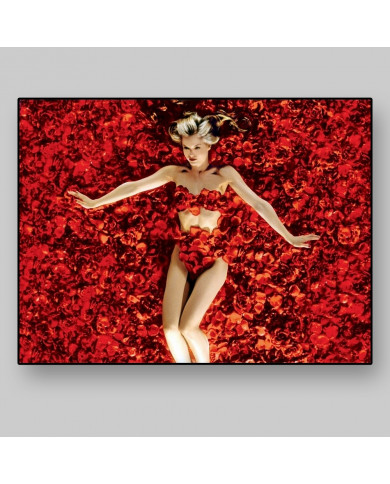 American Beauty American Beauty