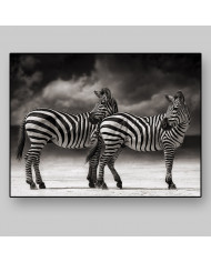 Cebras, Parque Nacional Serengueti, Tanzania