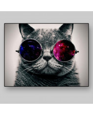 Gato con gafas 3D