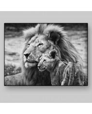 León con su cría, Parque Nacional Masai Mara, Tanzania