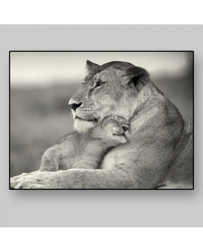 Leona con su cría, Parque Nacional Masai Mara, Tanzania