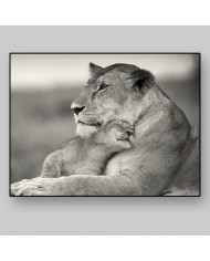 Leona con su cría, Parque Nacional Masai Mara, Tanzania