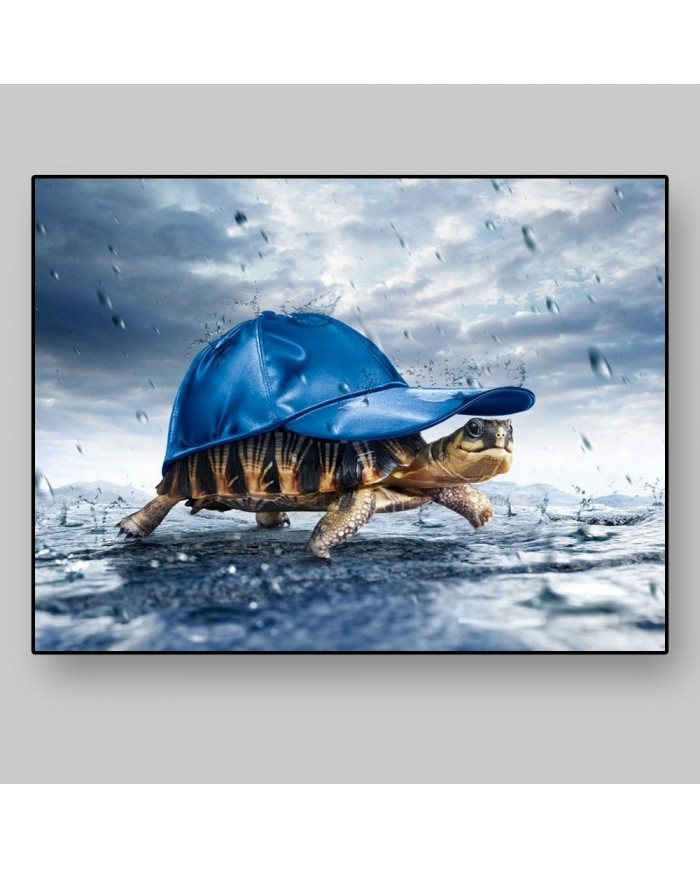 Tortuga bajo la lluvia