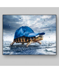 Tortuga bajo la lluvia