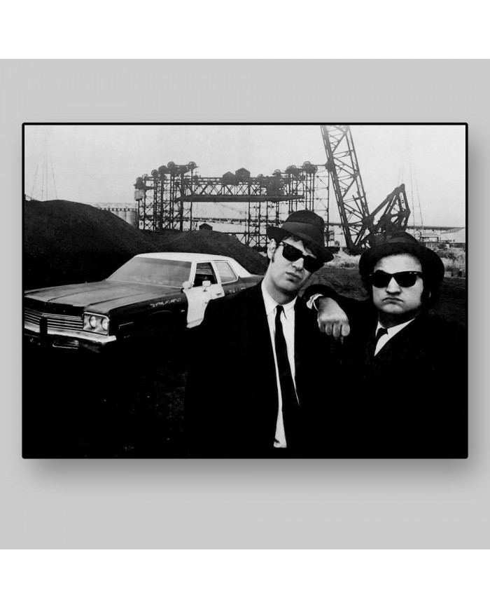 The blues brothers