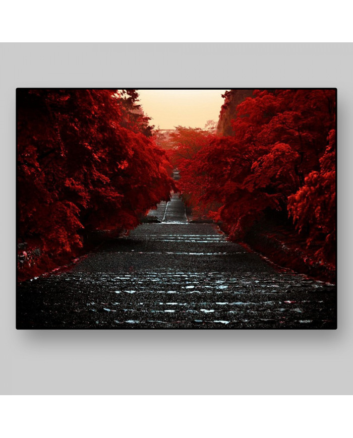 Camino de la Isla Honshu,Japón