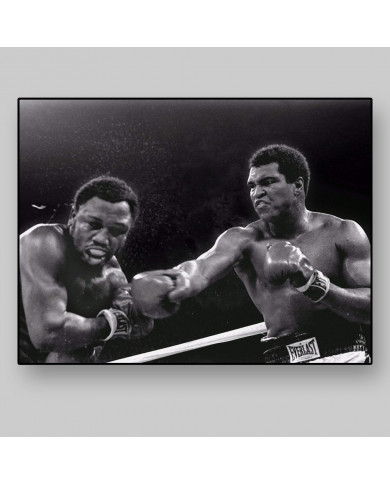 Muhammad Ali Muhammad Ali