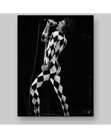 Freddie Mercury,concierto de Queen,1977 Freddie Mercury,concierto de Queen,1977