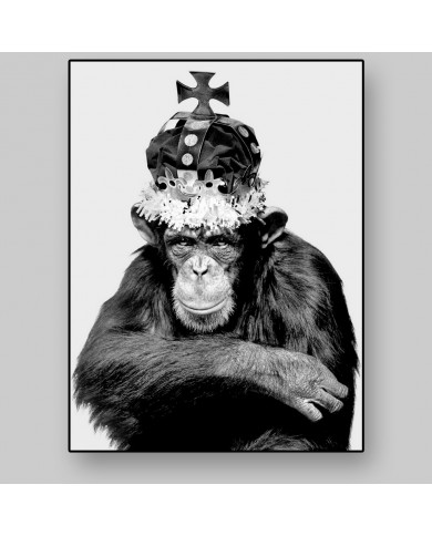 El rey chimpazé El rey chimpazé