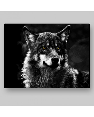 Lobo Lobo