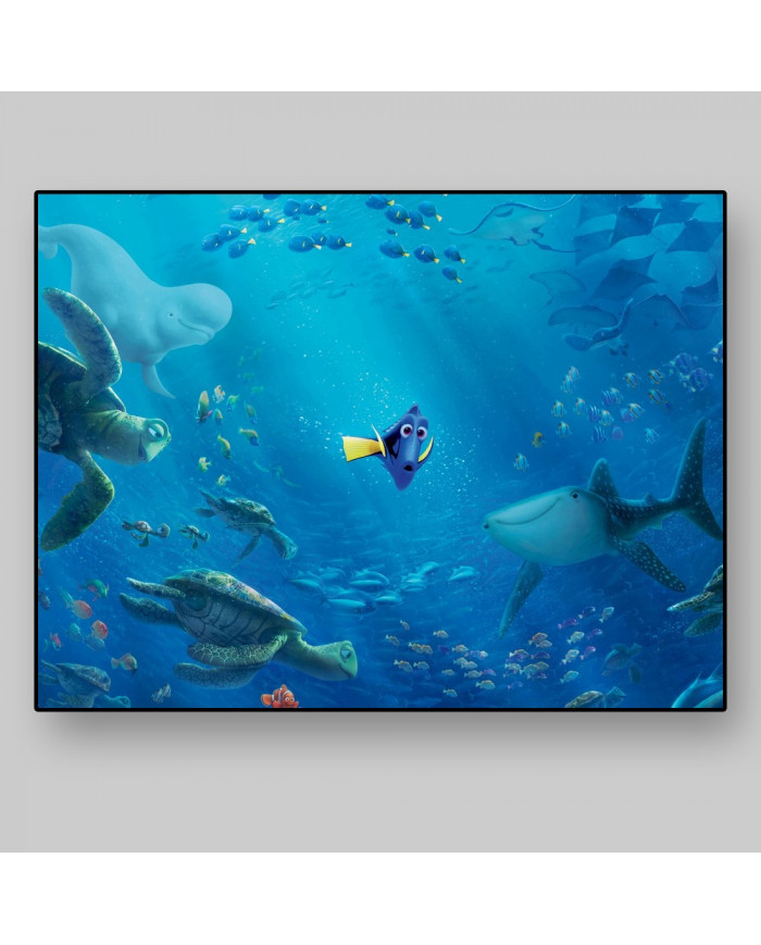 Buscando a Nemo