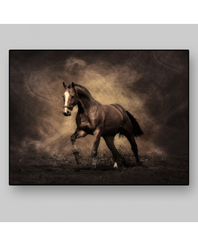 Caballo al trote Caballo al trote