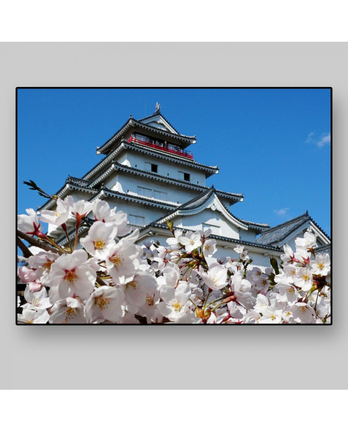 Castillo de Aizuwakamatsu,Japón