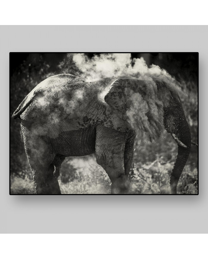 Elefante limpiándose,Parque Nacional Etosha,Namibia