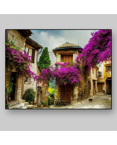 Provenza italiana Provenza italiana