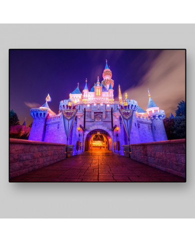 Sleeping Beauty Castle,Disneyland Sleeping Beauty Castle,Disneyland