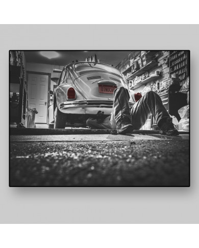 Volkswagen Beetle Volkswagen Beetle