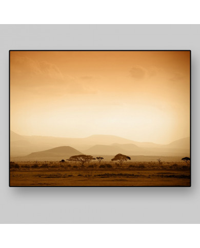 Amanecer en la sabana africana , Bostwana Amanecer en la sabana africana , Bostwana
