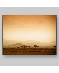 Amanecer en la sabana africana , Bostwana