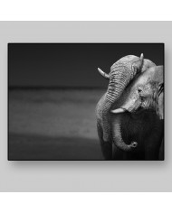 El beso de los elefantes, Parque Nacional Moremi, Botswana