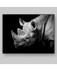 Retrato de un rinoceronte