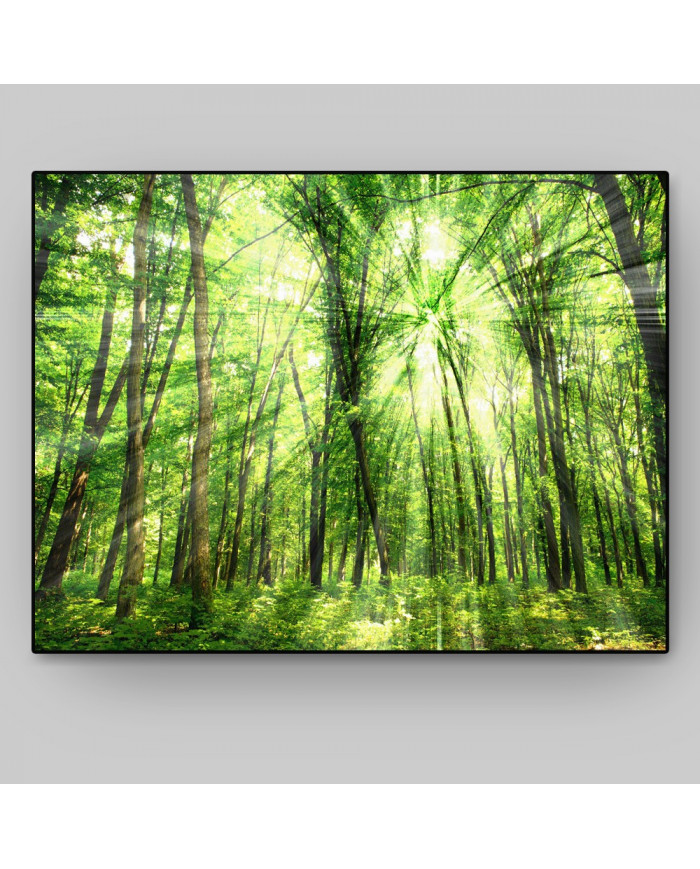 Luz entre árboles, Filipinas