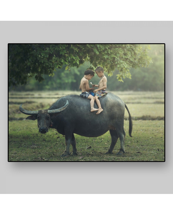 Niños leyendo sobre un búfalo, India