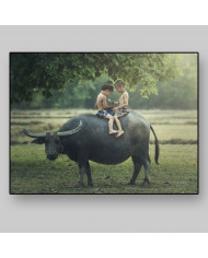 Niños leyendo sobre un búfalo, India