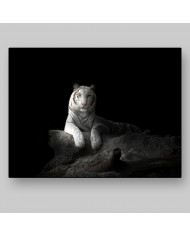 Tigre blanco de Bengala