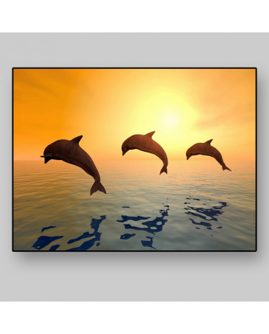 Delfines saltando Delfines saltando