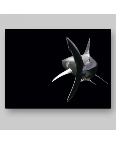 Tiburón Tiburón