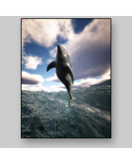 Defín en el mediterráneo