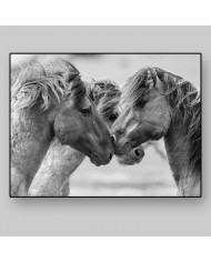 Caballos en lucha II