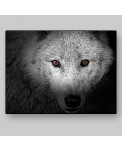 La mirada del lobo La mirada del lobo