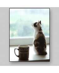 La mirada del gato II