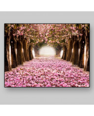 El tunel romántico de flores rosas