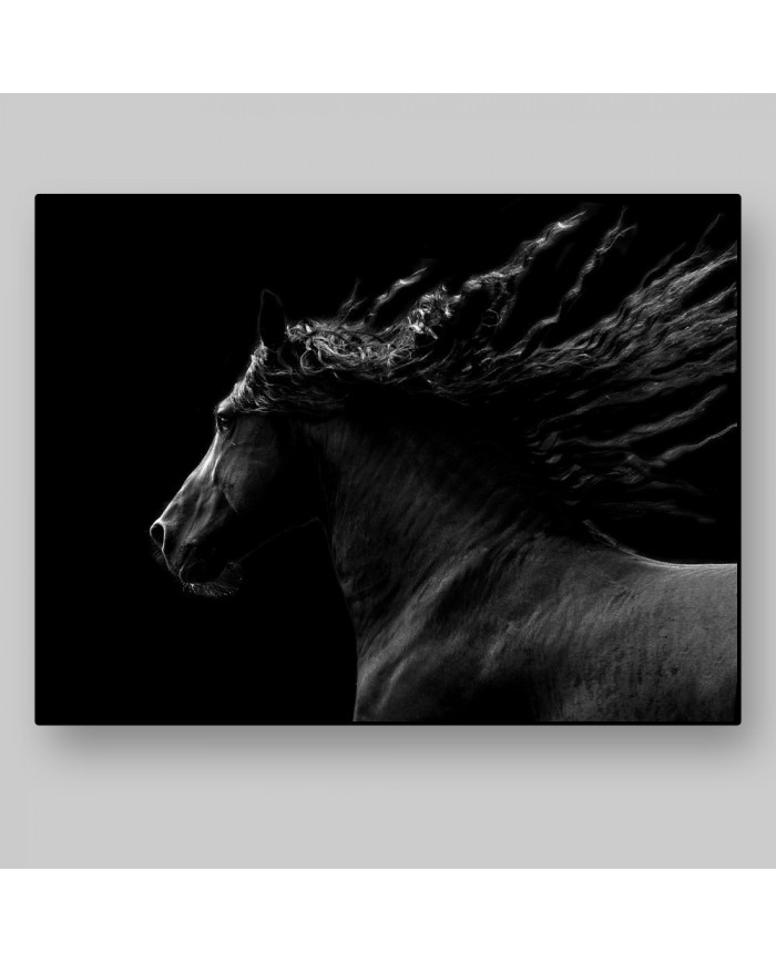 Caballo negro cabalgando