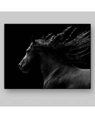 Caballo negro cabalgando